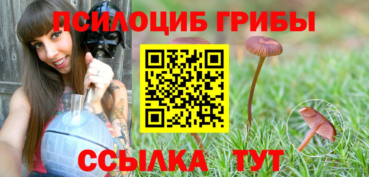 Горно-Алтайск  Галлюциногенные грибы мухоморы  Галлюциногенные грибы мицелий  Вход с VPN 