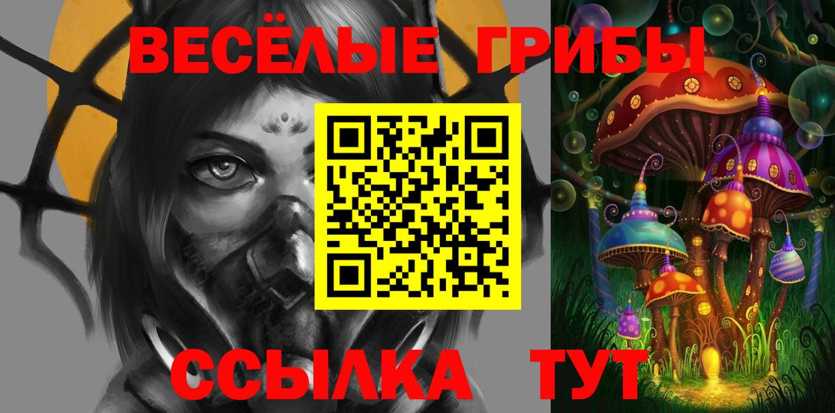 Псилоцибиновые грибы мицелий Горно-Алтайск